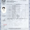 Ampliar imagen: certificate 1
