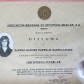 Ampliar imagen: certificate 5