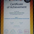 Ampliar imagen: certificate 10