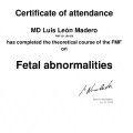 Ampliar imagen: certificate 7