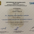 Ampliar imagen: certificate 26