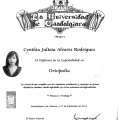 Ampliar imagen: certificate 3
