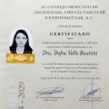 Ampliar imagen: certificate 1