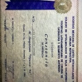 Ampliar imagen: certificate 3