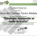 Ampliar imagen: certificate 9