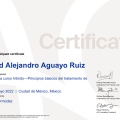 Ampliar imagen: certificate 4