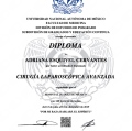 Ampliar imagen: certificate 1
