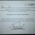 Ampliar imagen: certificate 7
