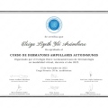 Ampliar imagen: certificate 5