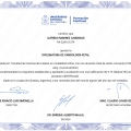 Ampliar imagen: certificate 7