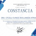 Ampliar imagen: certificate 3