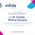 Ampliar imagen: certificate 3