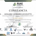 Ampliar imagen: certificate 5