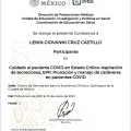 Ampliar imagen: certificate 7