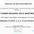Ampliar imagen: certificate 9
