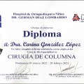 Ampliar imagen: certificate 4