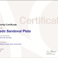Ampliar imagen: certificate 1