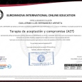 Ampliar imagen: certificate 2