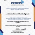 Ampliar imagen: certificate 11