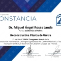 Ampliar imagen: certificate 3