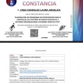 Ampliar imagen: certificate 6