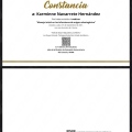 Ampliar imagen: certificate 4
