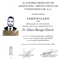 Ampliar imagen: certificate 2