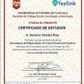 Ampliar imagen: certificate 4