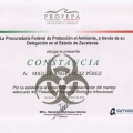 Ampliar imagen: certificate 13
