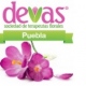 Devas Puebla Sociedad de Terapeutas Florales