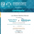 Ampliar imagen: certificate 5