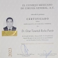Ampliar imagen: certificate 4