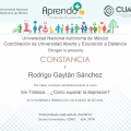 Ampliar imagen: certificate 14
