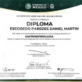 Ampliar imagen: certificate 1