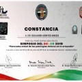 Ampliar imagen: certificate 8