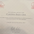 Ampliar imagen: certificate 8