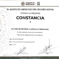 Ampliar imagen: certificate 3