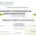 Ampliar imagen: certificate 7