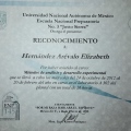 Ampliar imagen: certificate 5