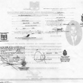 Ampliar imagen: certificate 3