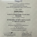 Ampliar imagen: certificate 5