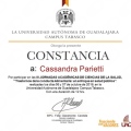 Ampliar imagen: certificate 7