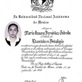 Ampliar imagen: certificate 4