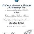 Ampliar imagen: certificate 4