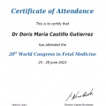 Ampliar imagen: certificate 5