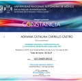 Ampliar imagen: certificate 4
