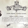 Ampliar imagen: certificate 9