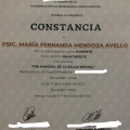 Ampliar imagen: certificate 17