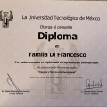 Ampliar imagen: certificate 9