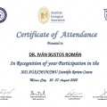 Ampliar imagen: certificate 25